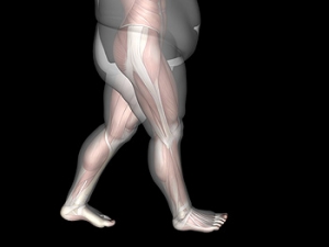Ankle Sprains in Athletes