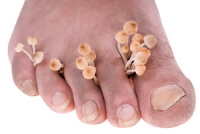 Why is it Important for Seniors to Maintain Proper Foot Care?